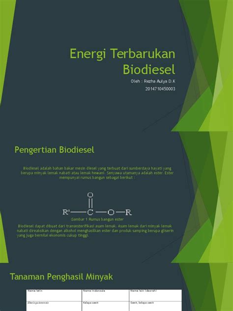 Pdf Ppt Energi Terbarukan Biodiesel Dokumentips