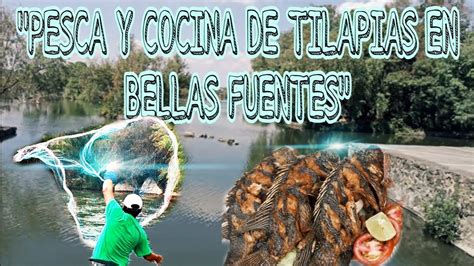 ASÍ ES LA PESCA Y COCINA DE MOJARRA AL DISCO EN BELLAS FUENTES muy