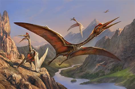 Quetzalcoatlus on Behance