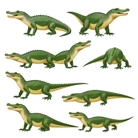 A Collection Of Different Kinds Of Dinosaurs Including A Green Dinosaur