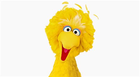 Big Bird Sesame Workshop