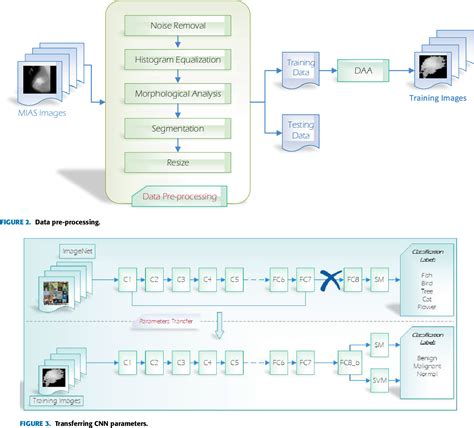 Figure 1 From A Novel Deep Learning Model For Automatic Detection And