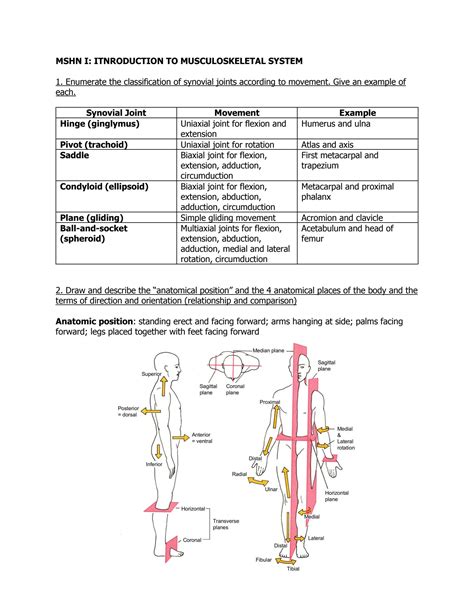 Solution Anatomy Workbook Musculoskeletal Module Studypool