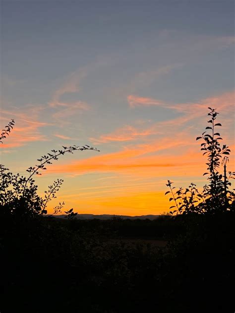 The Sun Is Setting Behind Some Trees And Bushes