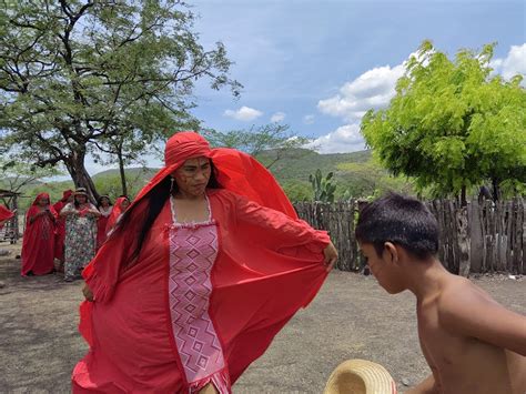 Indígenas wayuu danza tradicional yonna