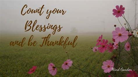 Count Your Blessings And Be Thankful For What You Have Blessed Count