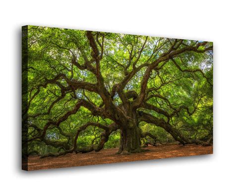 Angel Oak Tree Canvas Wall Art Charleston Poster Art Live Oak