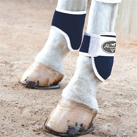 Professionals Choice Magnetic Ankle Boots