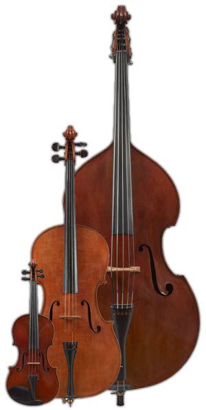 Double Basses And Violins From Malcolm Healey At Healey Violins