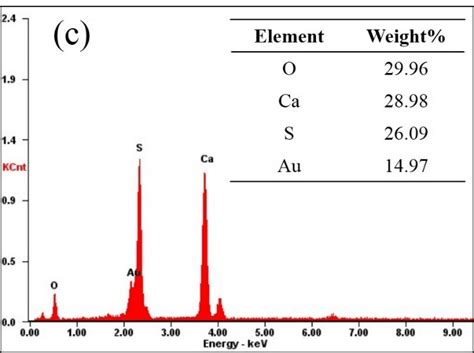 Sem Graph And Eds Spectra Of The Particles Before And After Adsorption Download Scientific