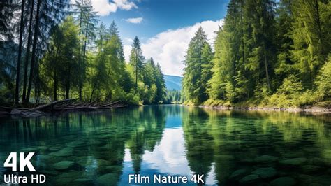 Nature 4K Scenic Relaxation Film With Peaceful Relaxing Music And