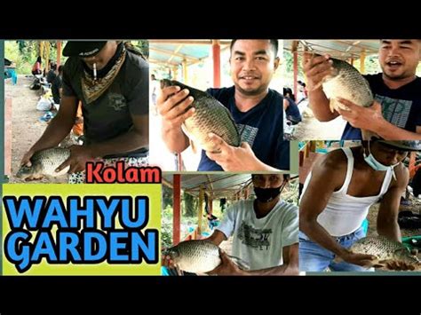 Lomba Mancing Ikan Mas Di Kolam Wahyu Garden Pesta Strike Ikan Babon