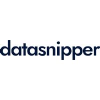 Datasnipper Review Pricing Features Tekpon