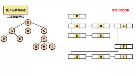 图解 数据结构：树的存储结构 知乎