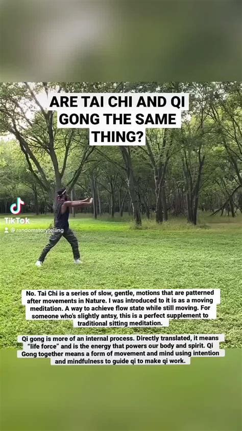 Difference Between Tai Chi And Qi Gong Video In Qigong Tai