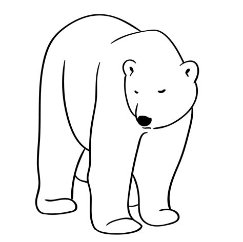 Orso Disegno 24 Disegni Di Orsi Da Colorare PianetaBambini It