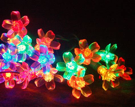 Flower Light String Multi Colored Led Lights Unlimited