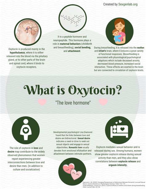 Infographic Oxytocin The Love Hormone