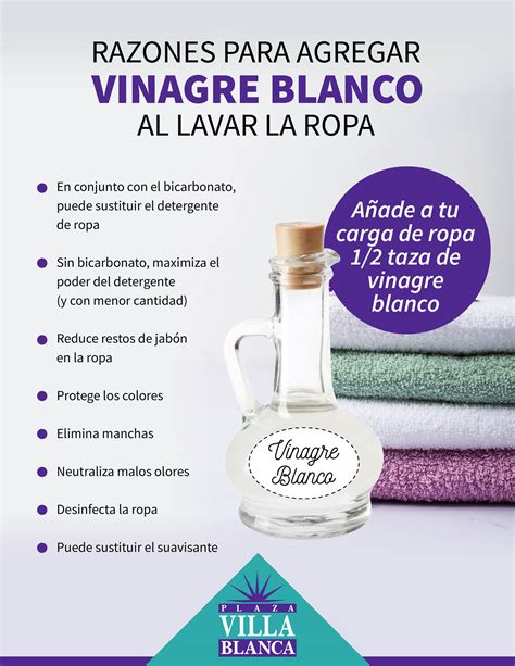 Vinagre Blanco Para La Ropa Atelier Yuwa Ciao Jp