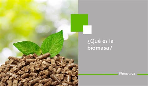 Qué es la biomasa