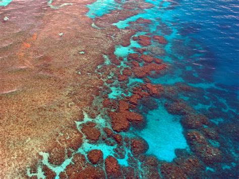 Free Images Sea Ocean Diving Aerial View Coral Reef Australia Pacific Landform Great