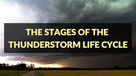 Mike's Weather School: The stages of the thunderstorm life cycle