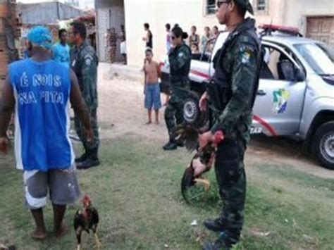 G Tr S Homens S O Presos Em Rinha De Galo Na Zona Sul De Aracaju