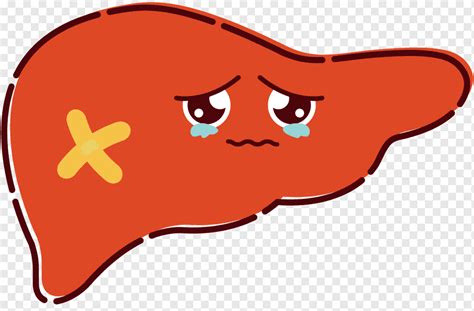 World Hepatitis Day Hepatitis A Hepatitis C Hepatitis Orange Cartoon