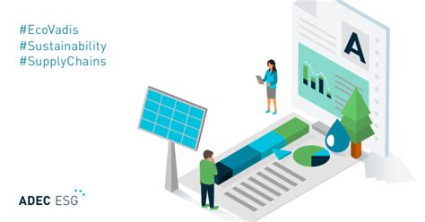 Why Evaluate Supply Chain Sustainability Resilience Regulation And