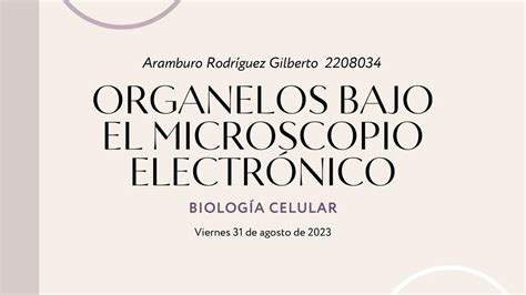 Organelos Bajo Microscopio Gilberto Aramburo Udocz