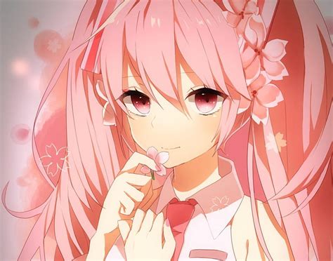 Sakura Miku Pretty Hatsune Miku Sweet Hair Nice Anime Hot Anime