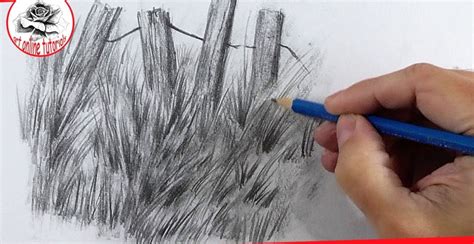 25 Easy Grass Drawing Ideas - How to Draw Grass - Blitsy