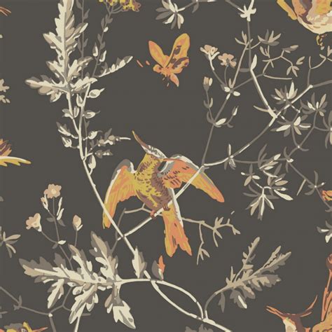 Papier Peint Oiseaux Hummingbirds Noir Cole And Son