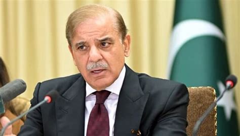 Pm Shehbaz Sharif Berates Pti For Creating Political Upheaval