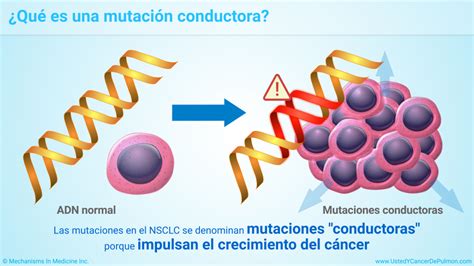 Presentaci N De Diapositivas Comprender Las Pruebas De Biomarcadores