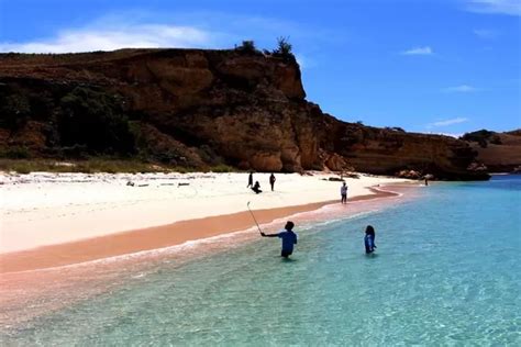 Rekomendasi Tempat Liburan Akhir Tahun 2023 Keindahan Pantai Pink