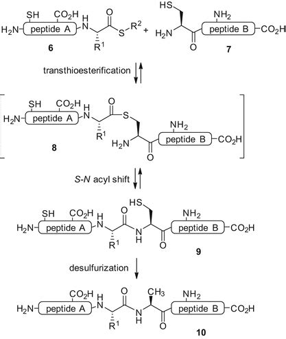 Peptide Thioester Formation Via An Intramolecular N To S Acyl Shift For