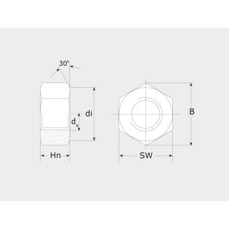 Hexagonal Nut Din