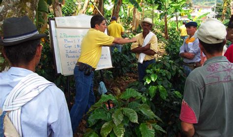 Extensión Agrícola Mind Map