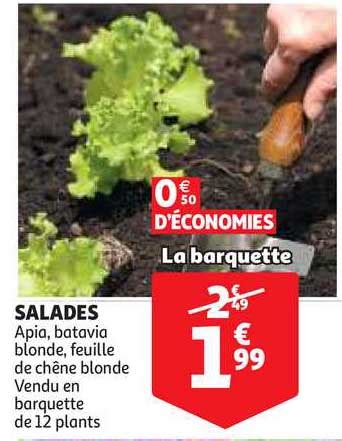 Offre Salade Apia Batavia Blonde Feuille De Ch Ne Blonde Chez Auchan Direct