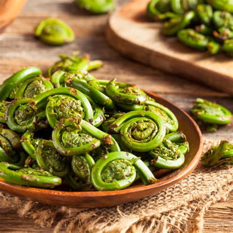 Sautéed Fiddlehead Ferns Easy Recipe Tastylicious