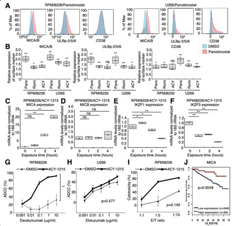 HDAC Inhibitors Enhance NK Cell Activity Via NKG2D Ligand Upregulation