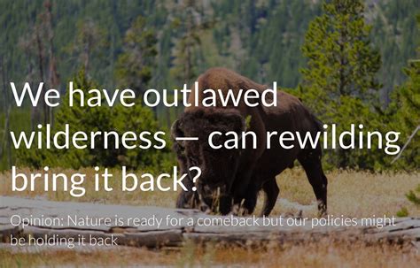 Rewilding Europe On Twitter Nature Is Ready For A Comeback But Our