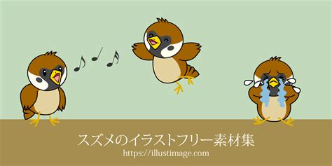 【まとめ】スズメのイラストフリー素材集｜イラストイメージ