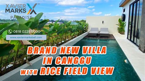 Intip Yuk Villa Di Canggu Bali With Pool Dan Rice Field View Bali