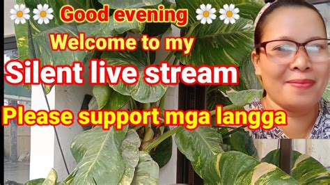 Good Evening Welcome To My SILENT LIVE STREAM Pasok Mga Langga YouTube