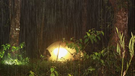 Solo Camping Hujan Deras Malam Hari Di Hutan Tidur Dengan Suara Hujan