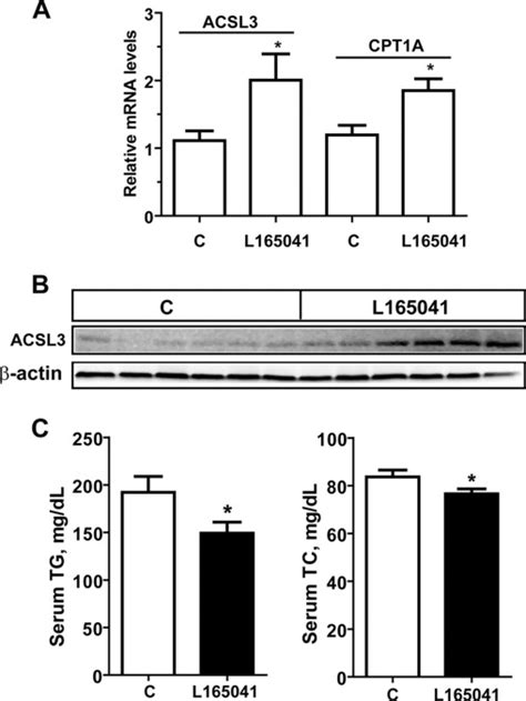 Long Chain Acyl Coa Synthetase 3 Is A Molecular Target For Peroxisome