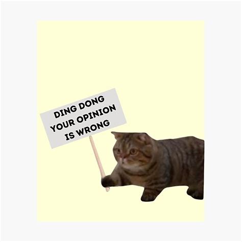 Ding Dong Your Opinion Is Wrong Funny Cute Cat Holding A Sign Meme