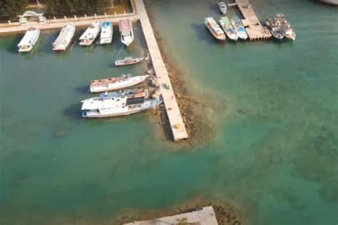 Terbenam Dalam Keajaiban Pulau Tunda Dengan Surga Bawah Laut Di Teluk